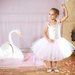 Victoria Dance Studio - studio de balet pentru copii